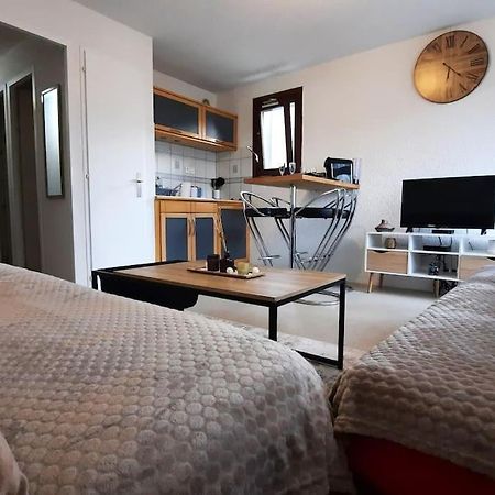 Super Appartement Cocooning Vu Mont Blanc Sallanches Dış mekan fotoğraf