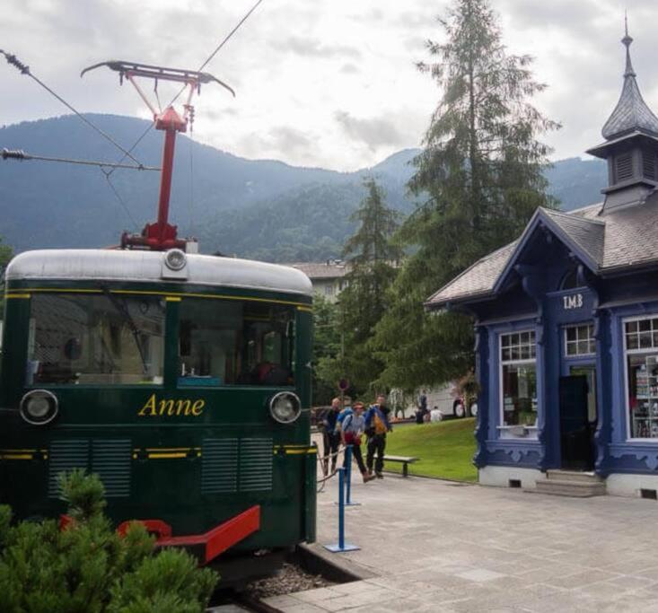 Super Appartement Cocooning Vu Mont Blanc Sallanches Dış mekan fotoğraf