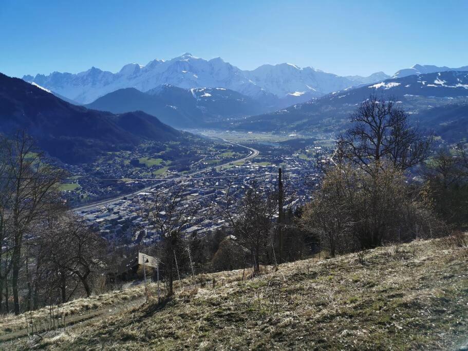 Super Appartement Cocooning Vu Mont Blanc Sallanches Dış mekan fotoğraf