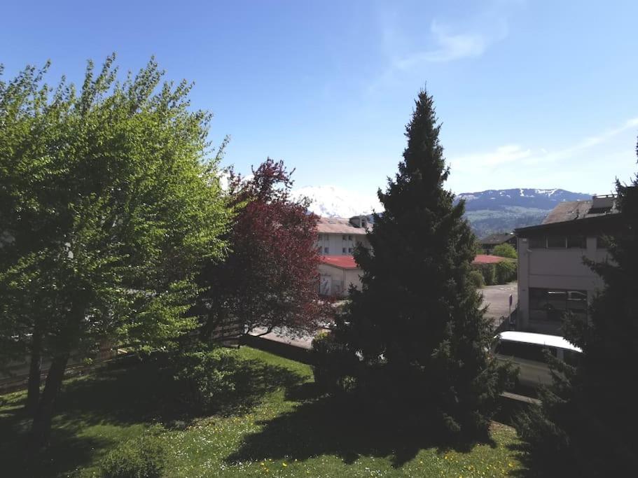Super Appartement Cocooning Vu Mont Blanc Sallanches Dış mekan fotoğraf