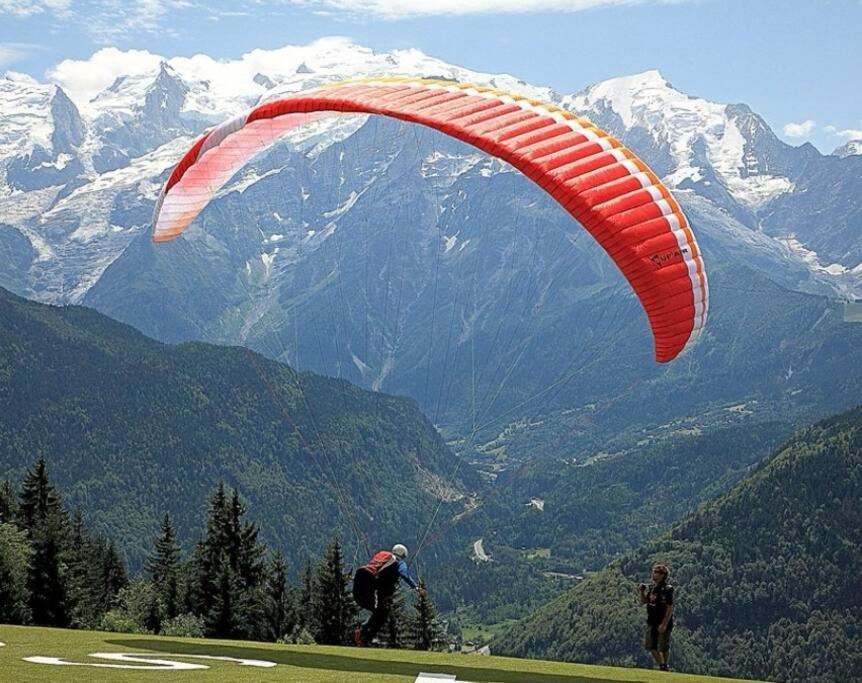 Super Appartement Cocooning Vu Mont Blanc Sallanches Dış mekan fotoğraf